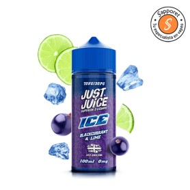 Blackcurrant Lime Ice 100ml - Just Juice